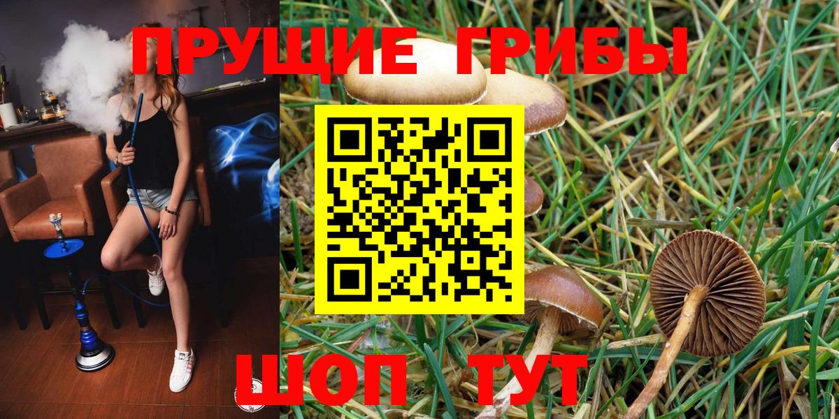 Псилоцибиновые грибы MAGIC MUSHROOMS Заволжье