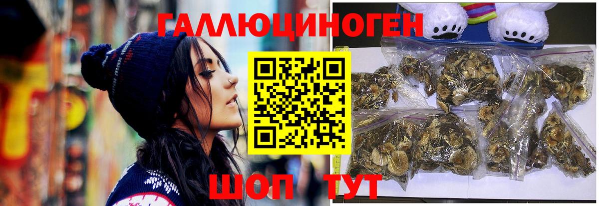Галлюциногенные грибы Psilocybe  Вход с VPN  Галлюциногенные грибы мицелий  Заволжье 